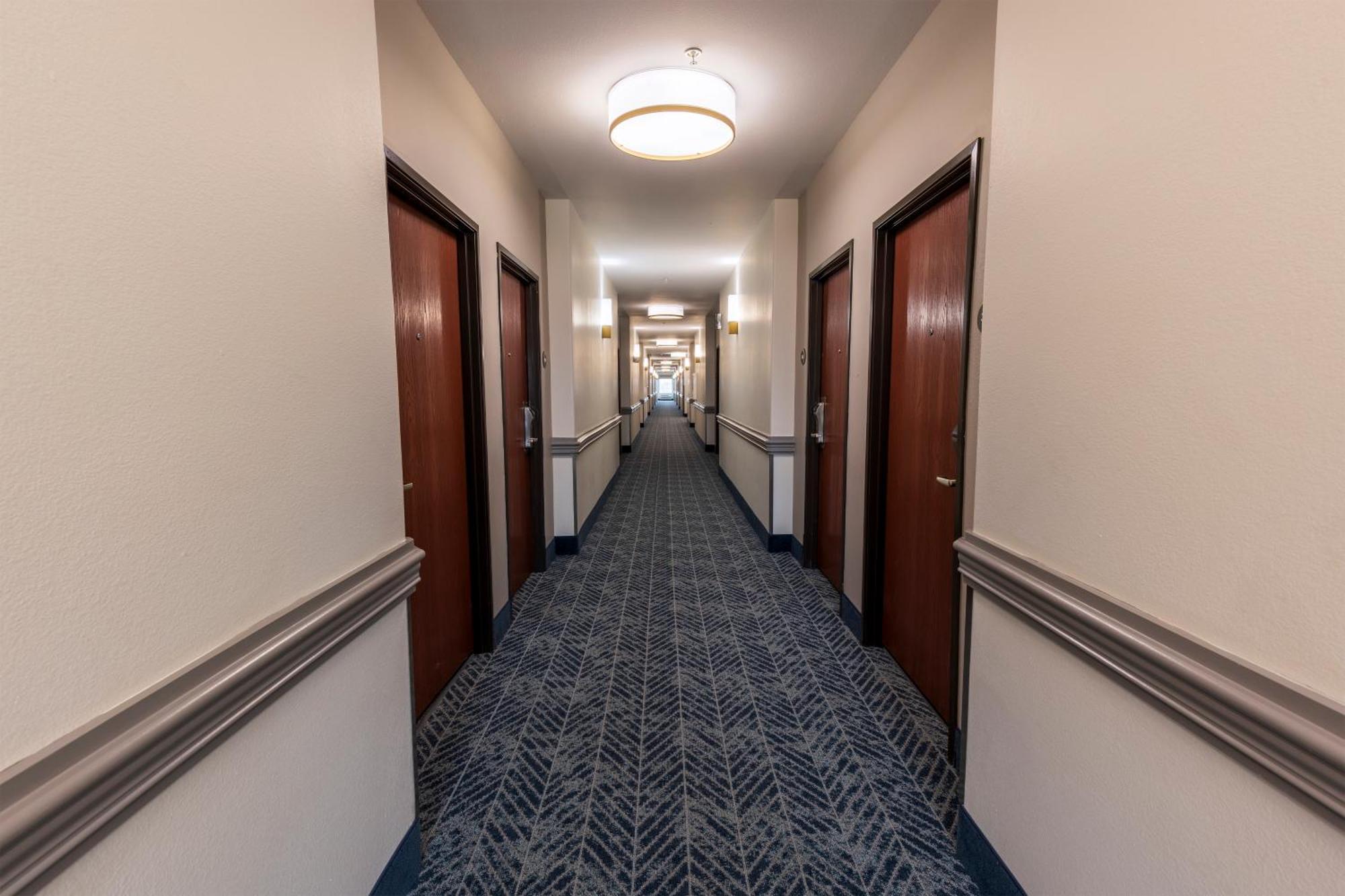 Comfort Inn & Suites New Iberia - Avery Island Eksteriør bilde